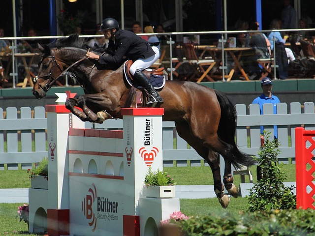 霍温的防线 霍温的防线