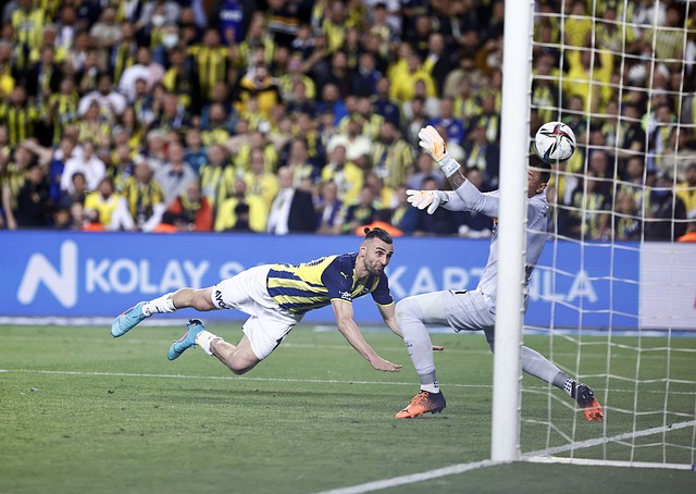 成长之路 成长之路