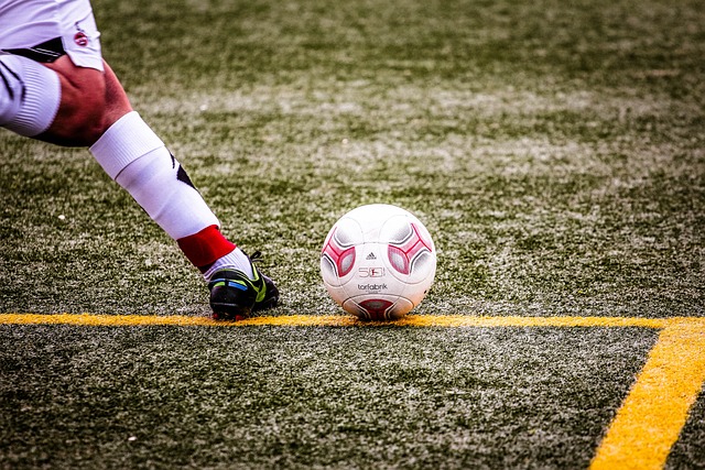 在未来的欧 在未来的欧